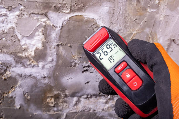 Best Mold Testing and Inspection Services in Holloman Af, NM