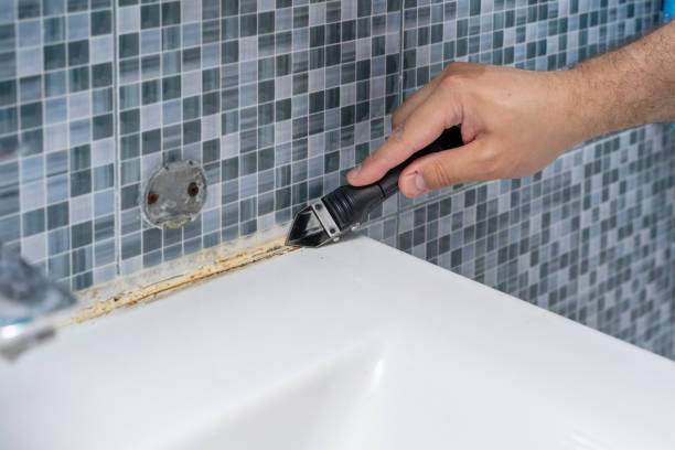 Best Basement Mold Remediation in Holloman Af, NM
